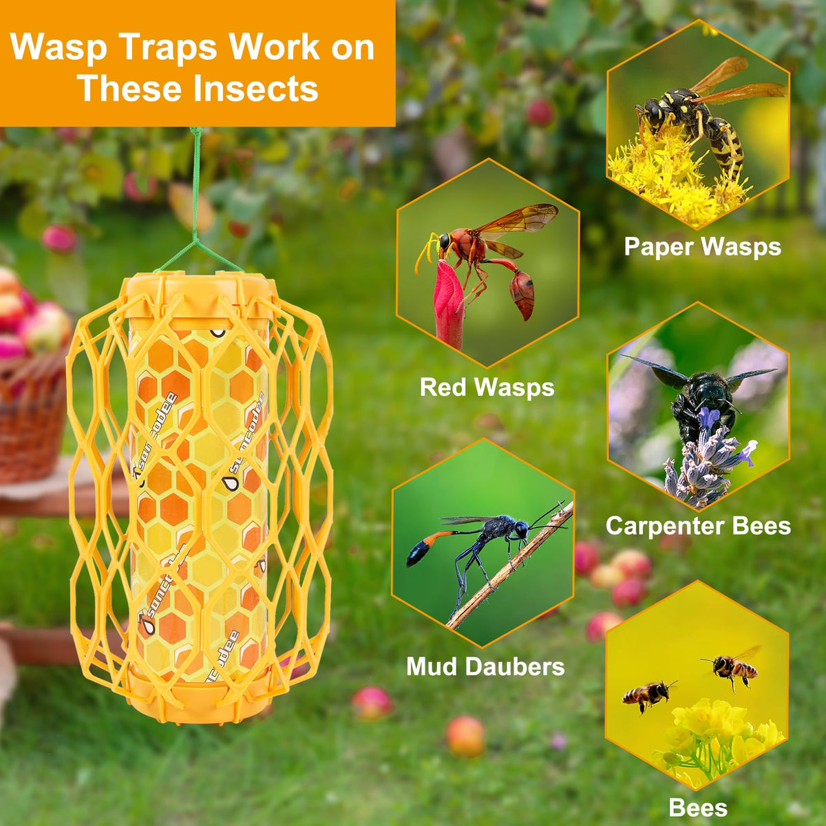 Sancodee carpenter bee trap with sticky guard for safe outdoor use.