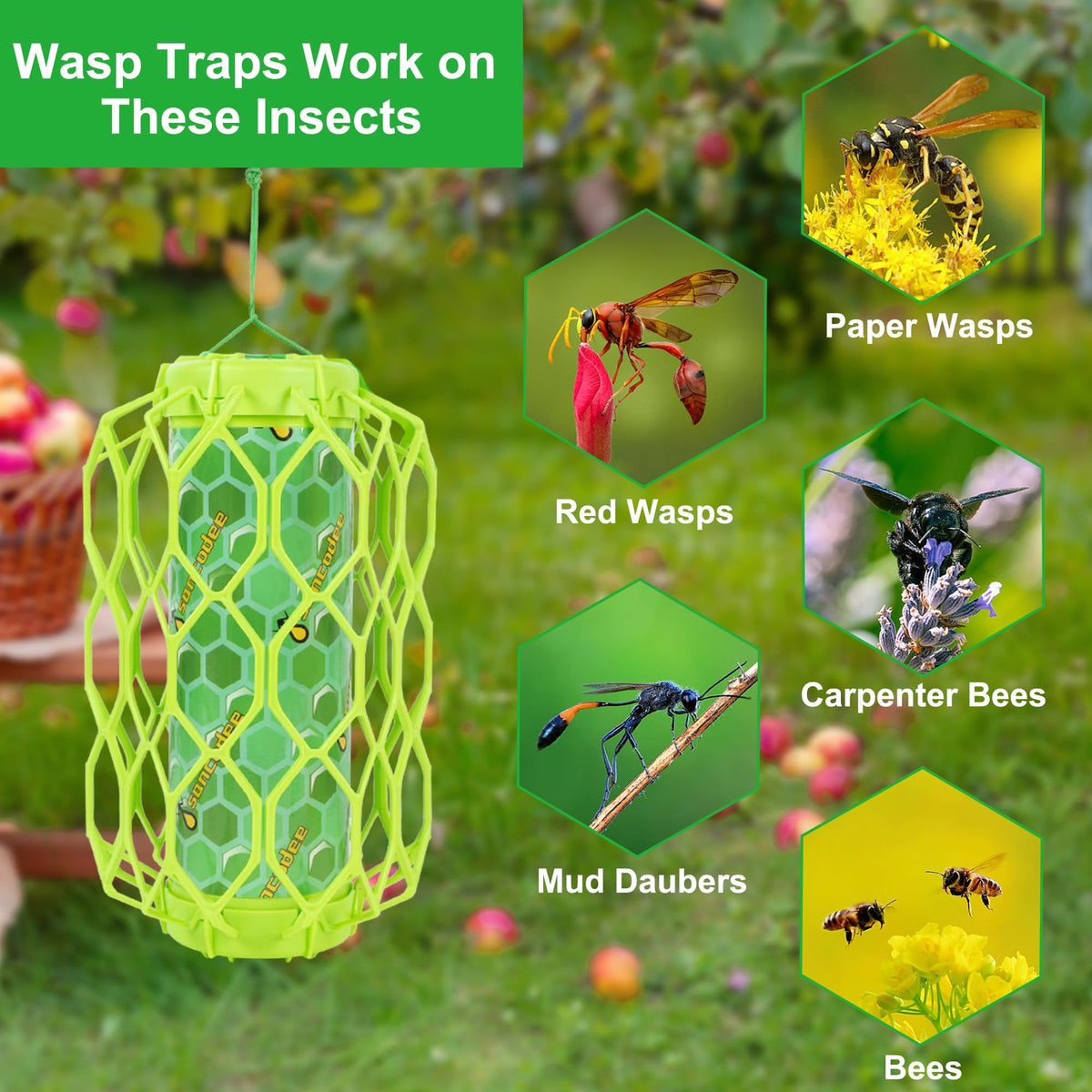 Sancodee wasp trap bait reservoir ready for use in yard spaces