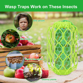 Sancodee yellow jacket trap reusable design for ongoing use