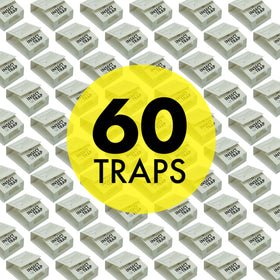 S&T INC. corner traps detect hiding insects in tight spaces.
