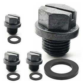 SANFAY SPX1700FG pipe plug with gasket for reliable pool maintenance