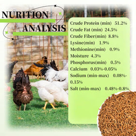 SANSECT mealworms close-up shows high-protein content for birds