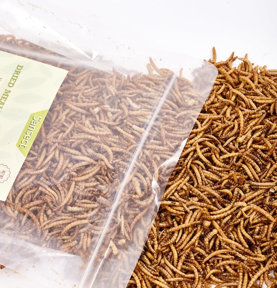 SANSECT mealworms for reptiles provide natural protein for habitat enrichment