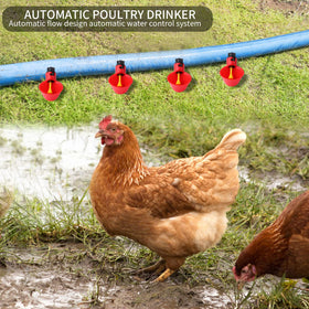 Sansheng PVC base installation example for flexible poultry setup.