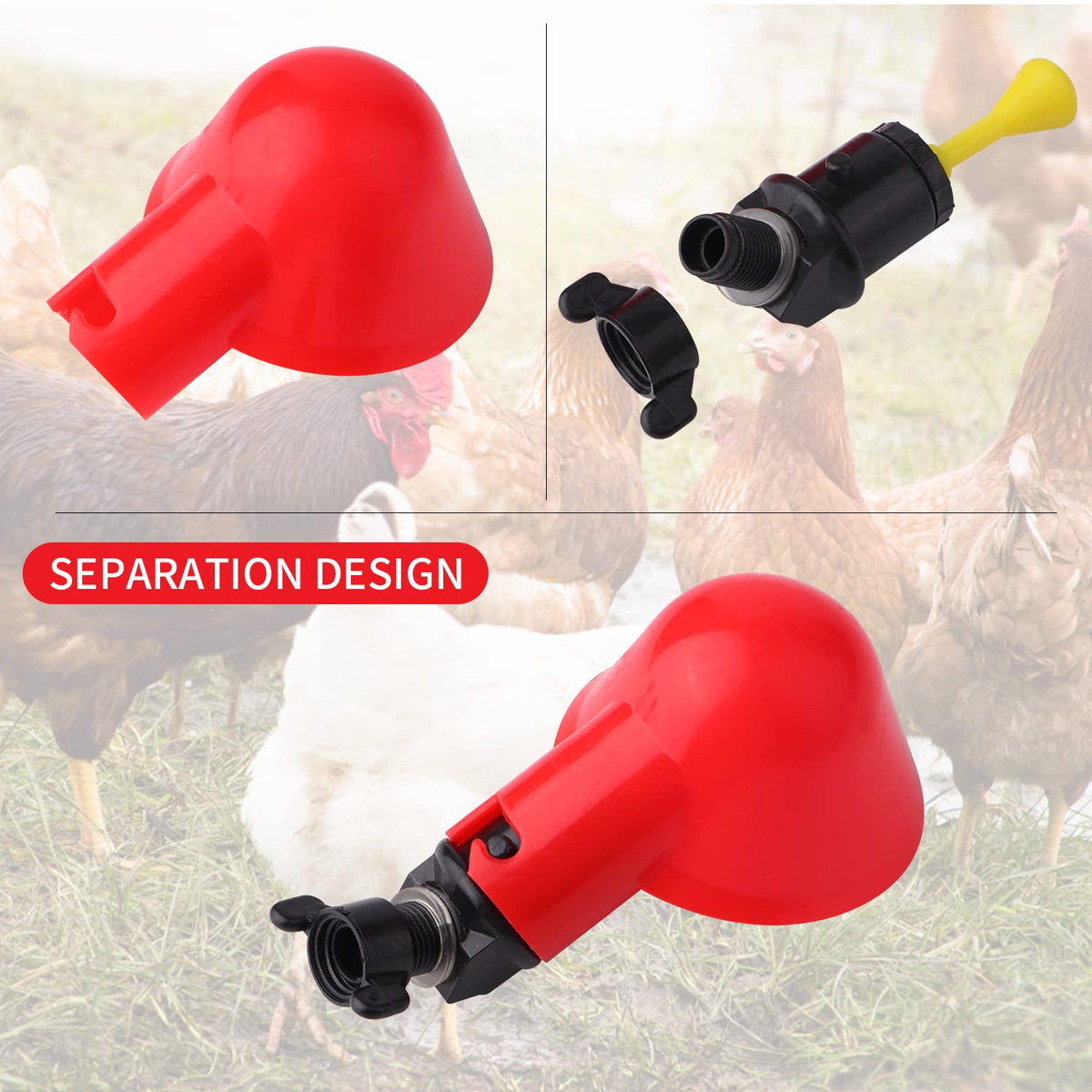 Sansheng waterer cups attached to a bucket for direct poultry hydration