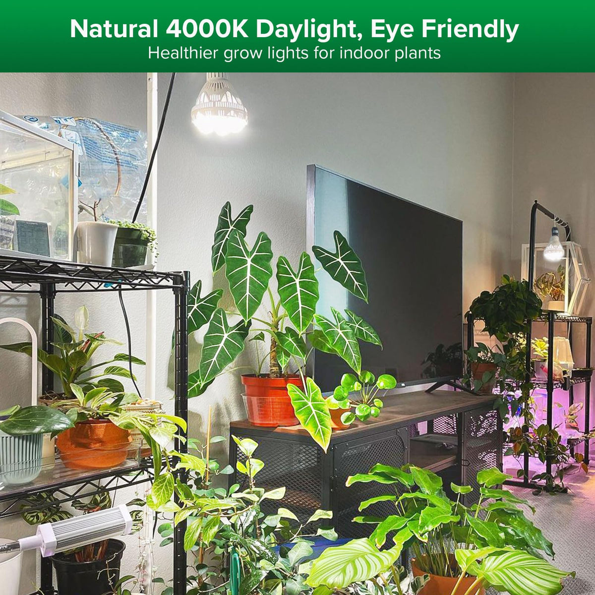 SANSI 36W LED bulb with optical lens for efficient light distribution.