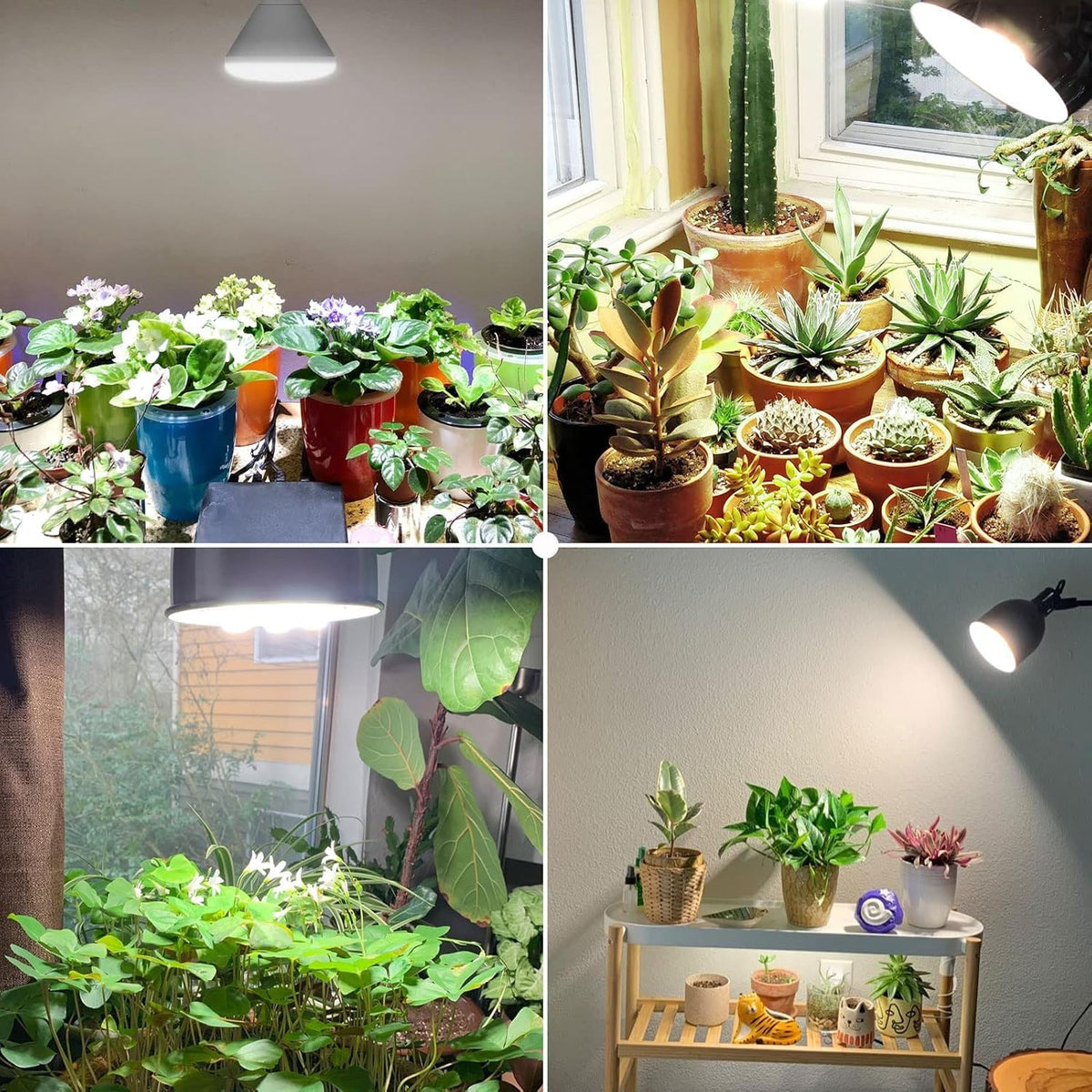 SANSI BR30 24W daylight 4000K promotes natural-like growth and vibrant foliage.
