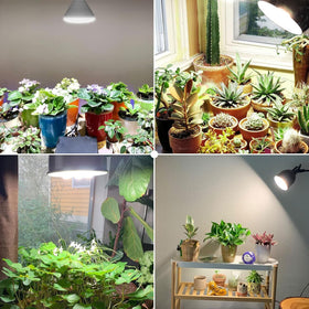 SANSI BR30 24W daylight 4000K promotes natural-like growth and vibrant foliage.