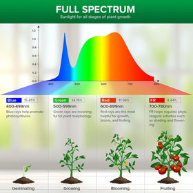 SANSI secondary lens design improving light distribution on indoor plants.