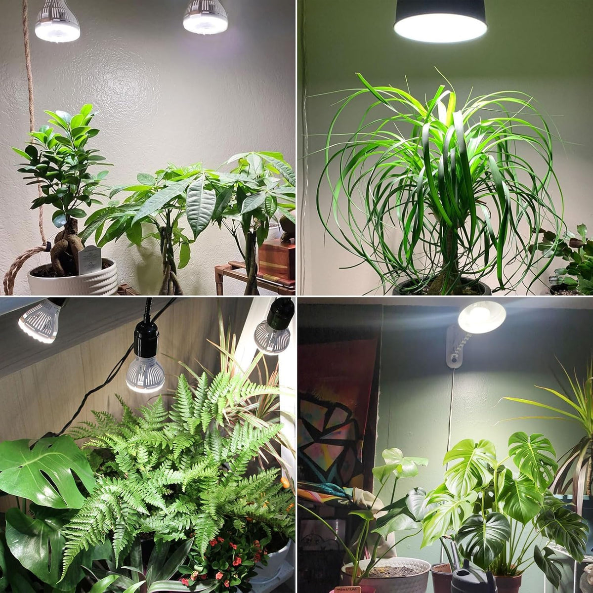 SANSI energy saving 5W LED with 75W equivalent brightness