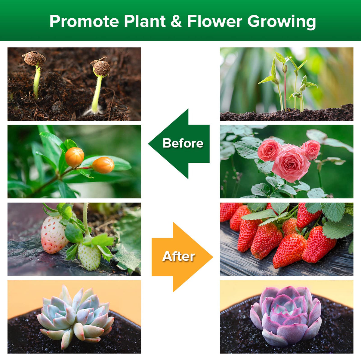 SANSI ETL-certified grow light ensures safety and reliability.