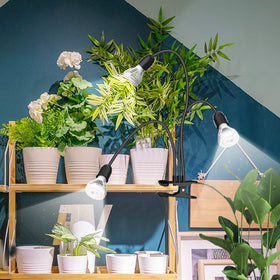 SANSI ETL-listed grow light ensures safety and steady performance.