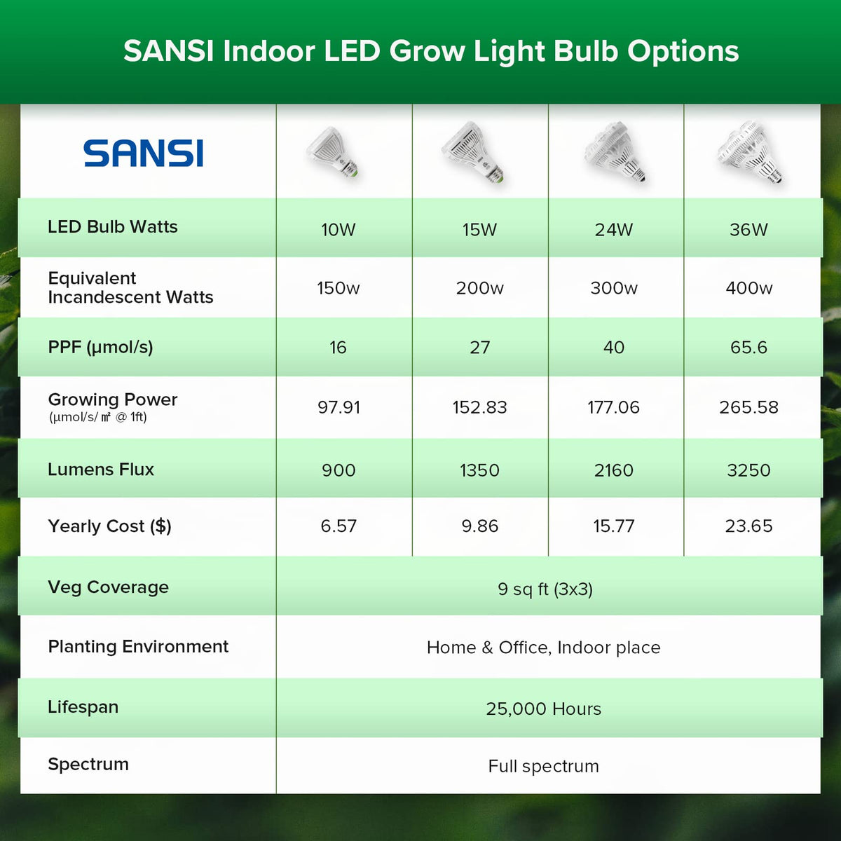 SANSI durable bulb showcasing a 5-year protection plan.