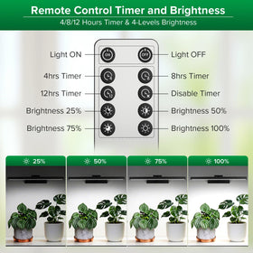 SANSI remote timer and dimming control for flexible schedules