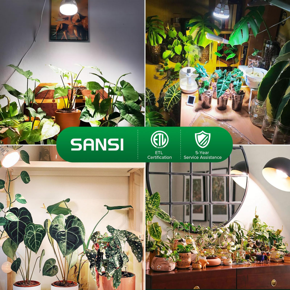 SANSI two-pack grow light set for home gardening