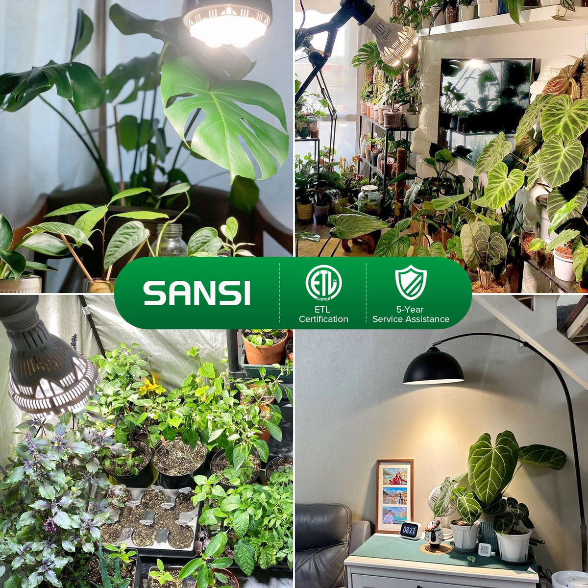 SANSI ETL-listed bulb with 5-year protection for reliability