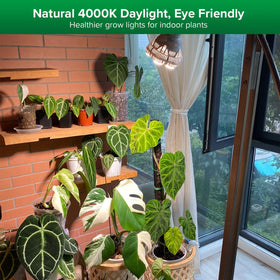 SANSI full-spectrum 400-780nm enhances plant growth and flowering stages