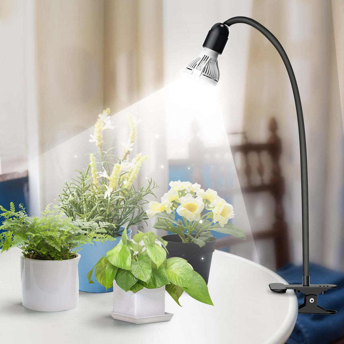 SANSI indoor garden setup with clip light for desktop and hanging installations.