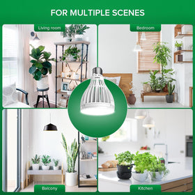SANSI grow light supports year-round indoor cultivation
