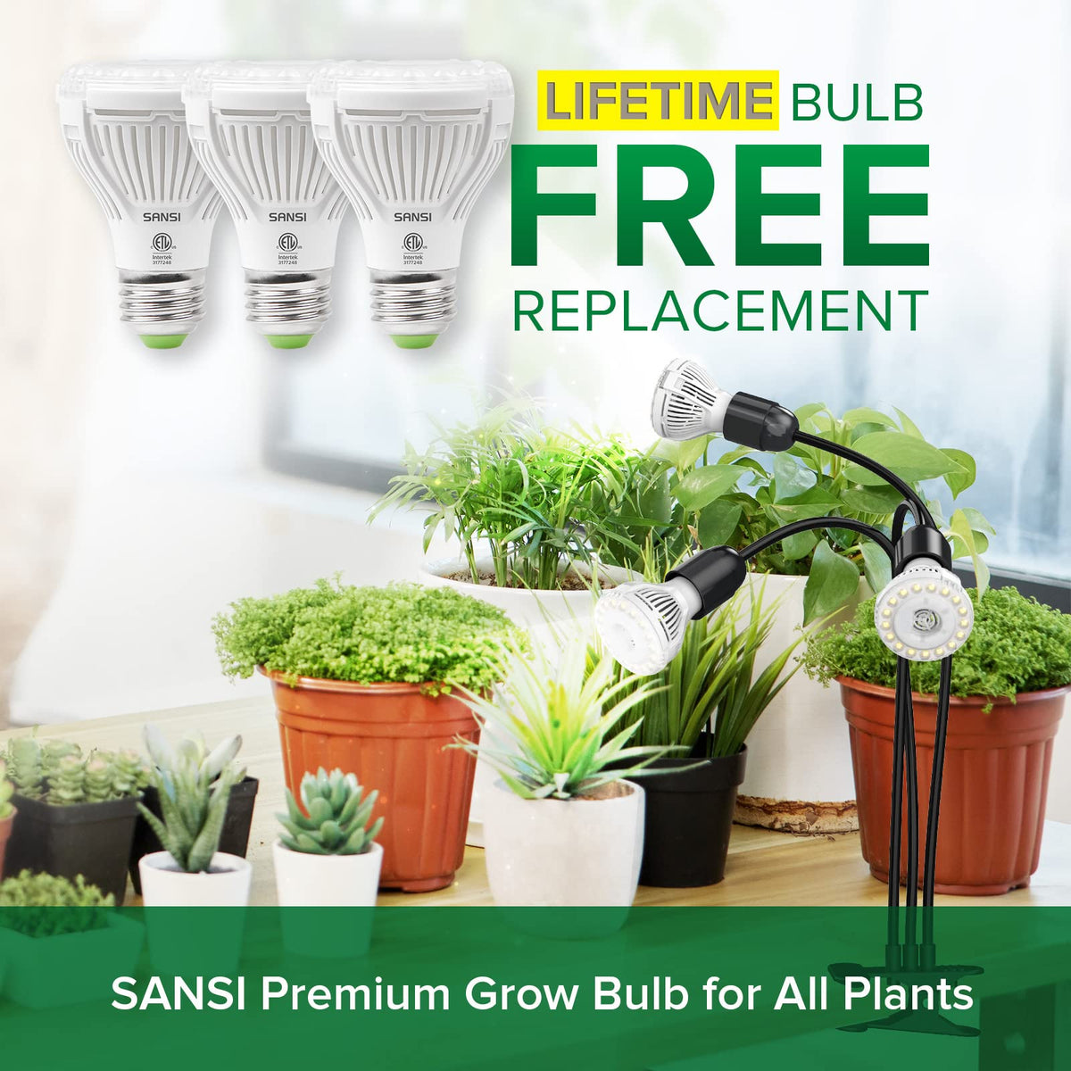 SANSI replaceable bulbs save money by letting you swap bulbs as needed.