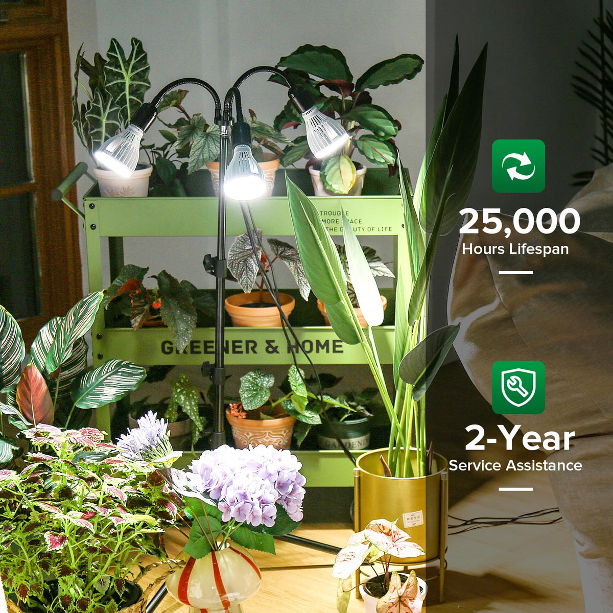 SANSI replaceable bulbs offering easy upgrades and longer life
