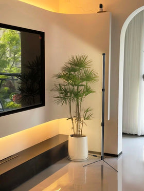 SANSI T10 long 99-inch power cord enables flexible setup