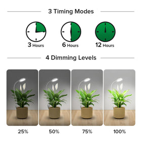 SANSI plant light timer showing 3/6/12 hour cycle for scheduling