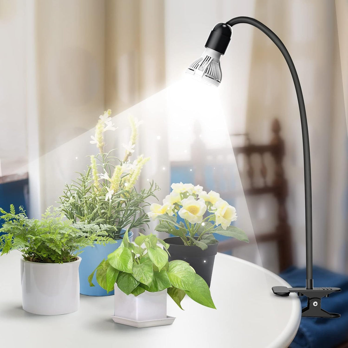 Versatile placements for desk, plant stand, or hanging setup.
