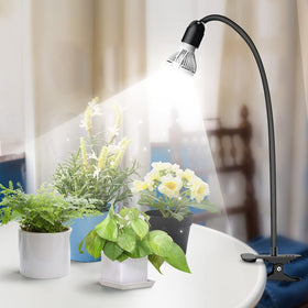 Versatile placements for desk, plant stand, or hanging setup.