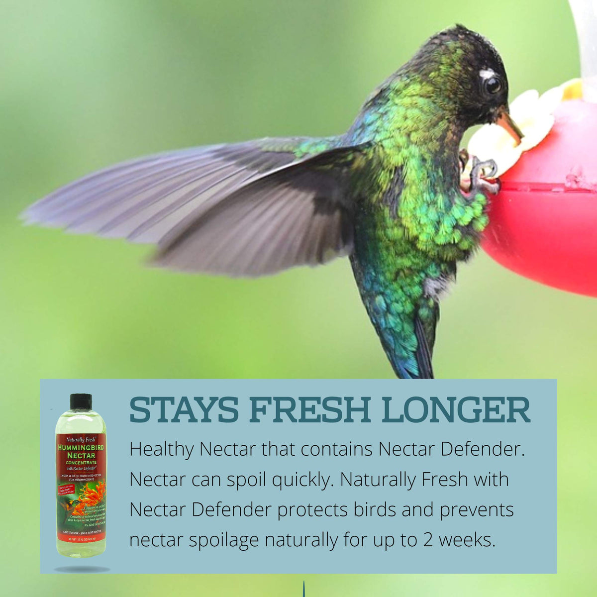 Easy no-boil Nectar Defender prep being mixed with water.