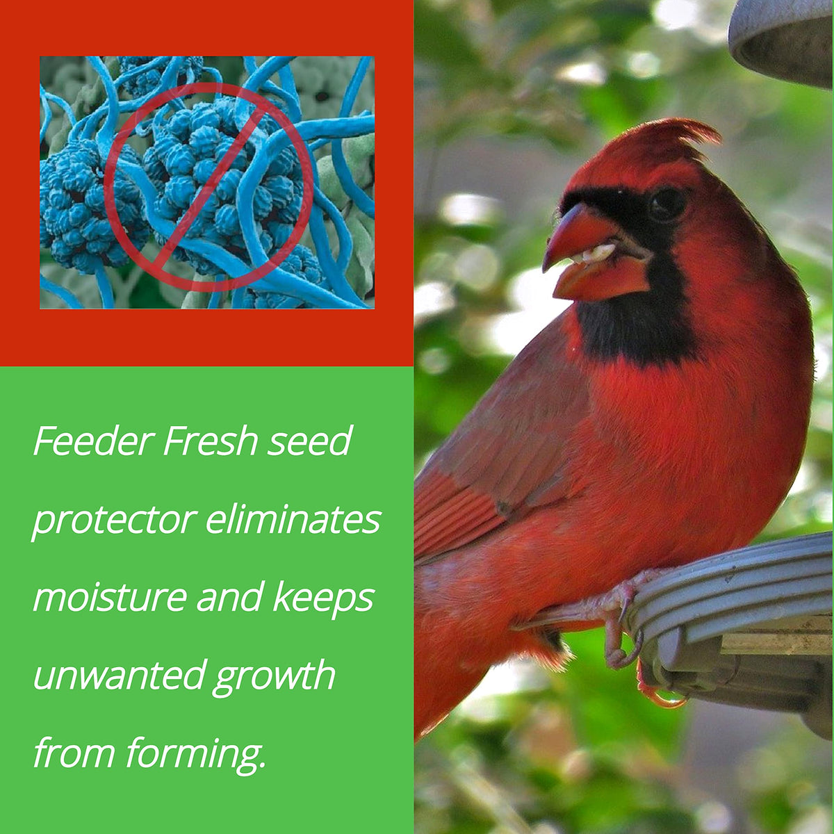 Sapphire Labs Feeder Fresh moisture trap inside bag, helping keep seeds dry for birds.
