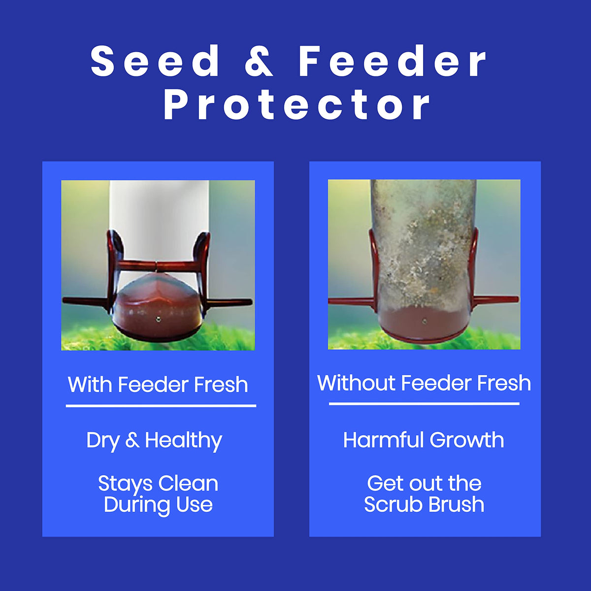 Sapphire Labs Feeder Fresh outdoors setup supports healthy backyard birds.