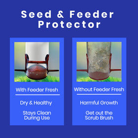 Sapphire Labs Feeder Fresh outdoors setup supports healthy backyard birds.