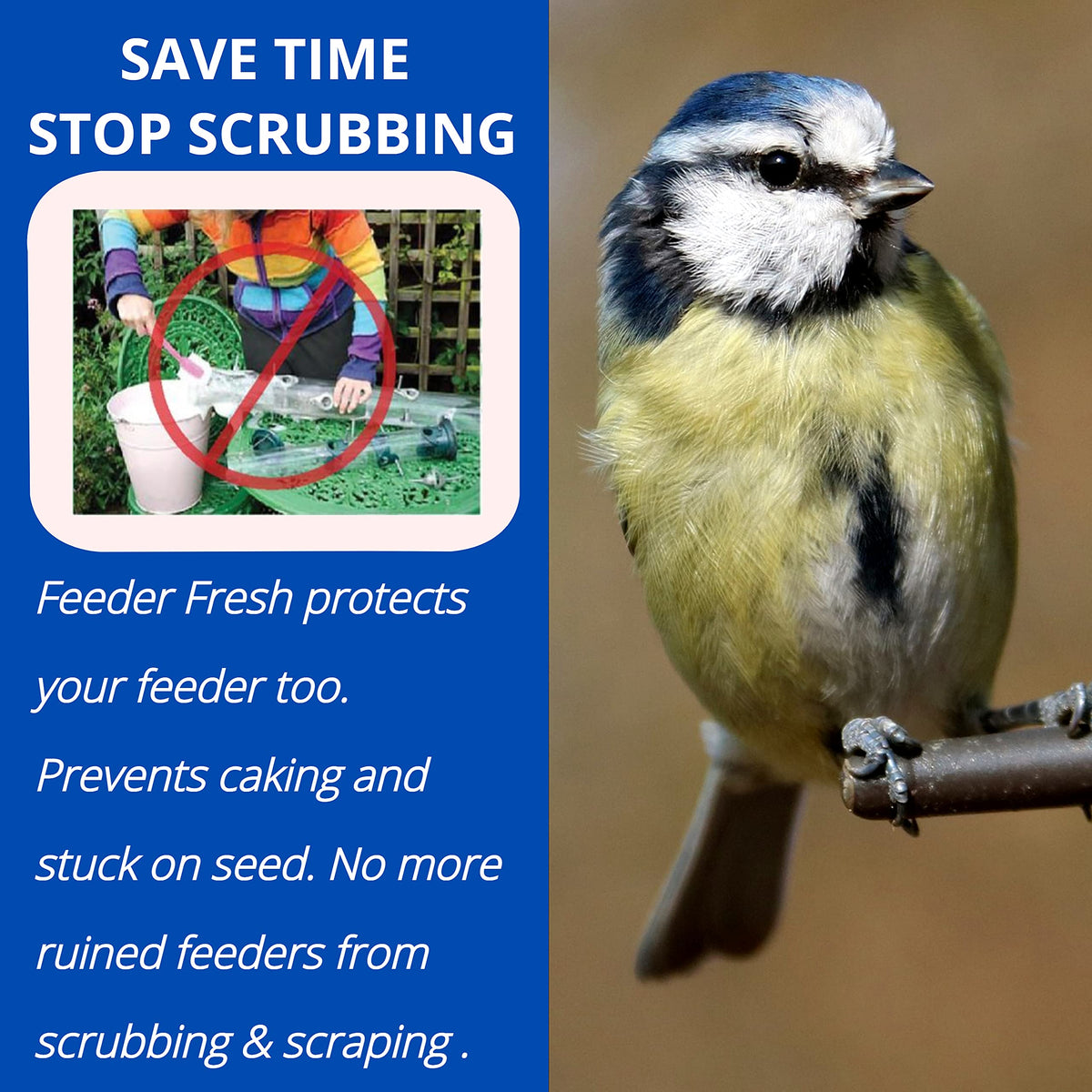Sapphire Labs Feeder Fresh prevents sprouting and cake buildup in feeders.