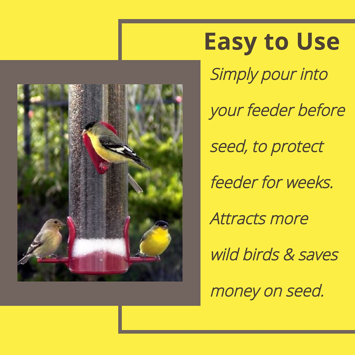 Sapphire Labs Feeder Fresh is poured into a tube feeder for easy use.