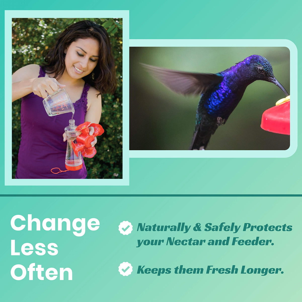 Nectar Defender in use at a feeder during sunny days preventing spoilage