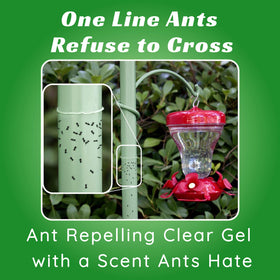 Sapphire Labs Nectar Fortress anti-ant barrier around feeder pole protects nectar.