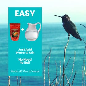 Sapphire Labs powder-to-water mix demonstrates easy preparation without boiling.