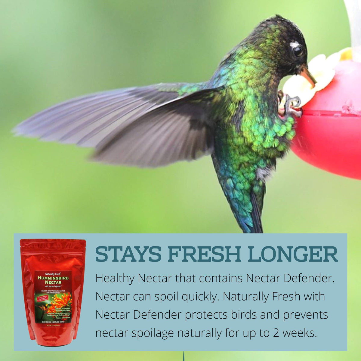 Sapphire Labs nectar stays fresh up to two weeks in feeders