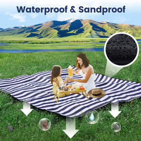 Sapsisel family picnic on large blanket with room for 6-8.