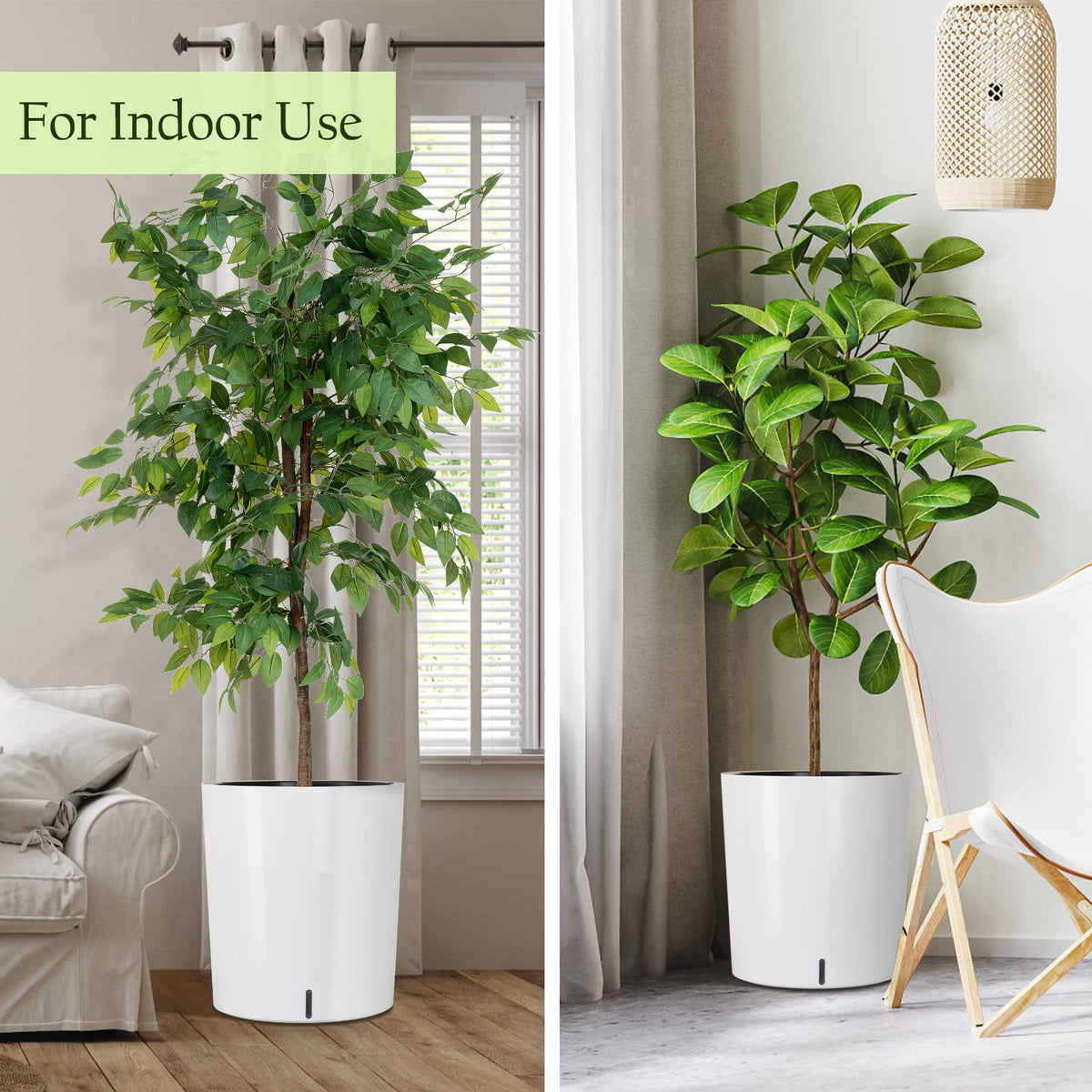 Sarosora inner planting pot absorbs moisture from reservoir