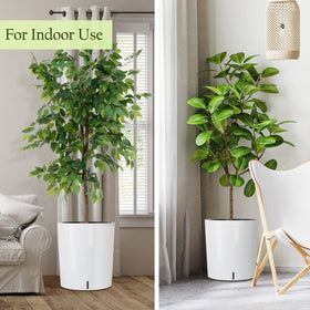 Sarosora inner planting pot absorbs moisture from reservoir