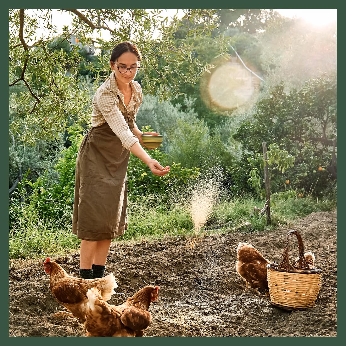 Sassafras & Pumpernickel organic chamomile nesting herbs for soothing nest box ambience.