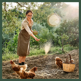 Sassafras & Pumpernickel organic chamomile nesting herbs for soothing nest box ambience.
