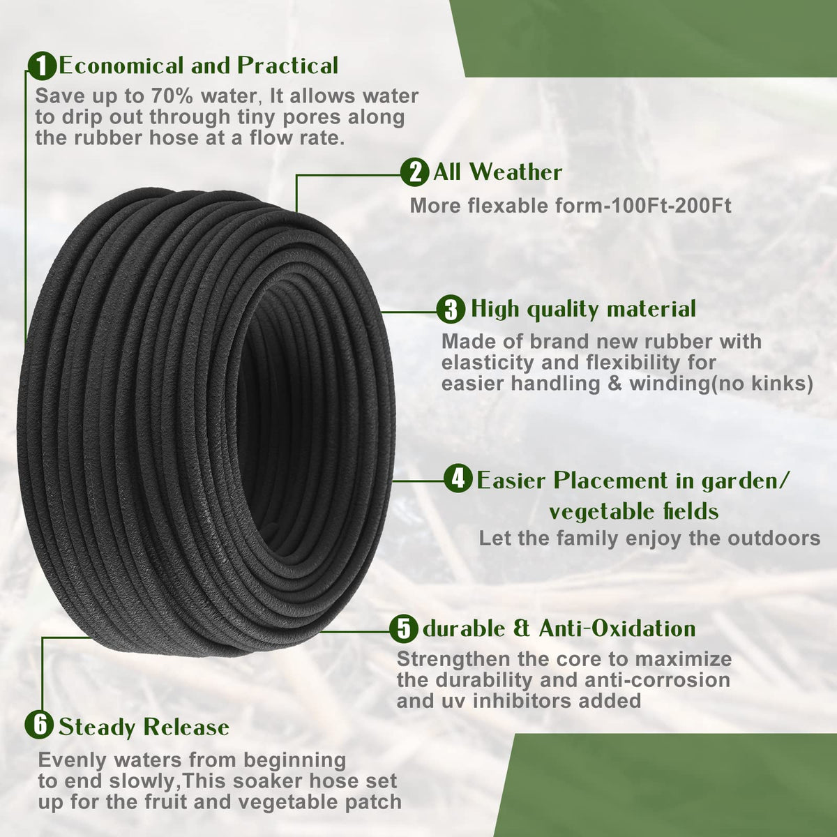 Sasylvia hose tucked under mulch around plants for efficient watering