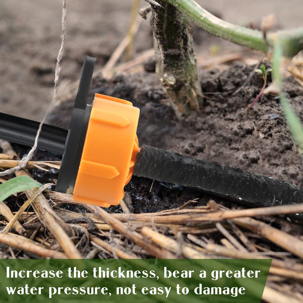 Sasylvia irrigation system helps conserve water with slow, controlled flow.