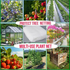 SATOCVAY blueberry plants protected by bird netting