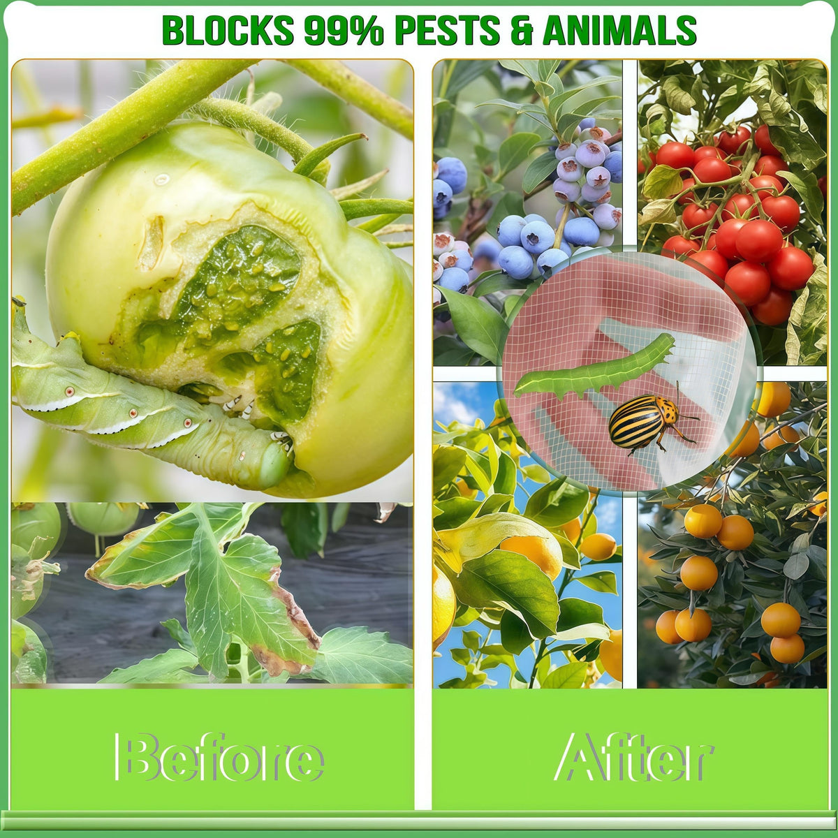 SATOCVAY eco-safe, food-grade netting safe for edibles