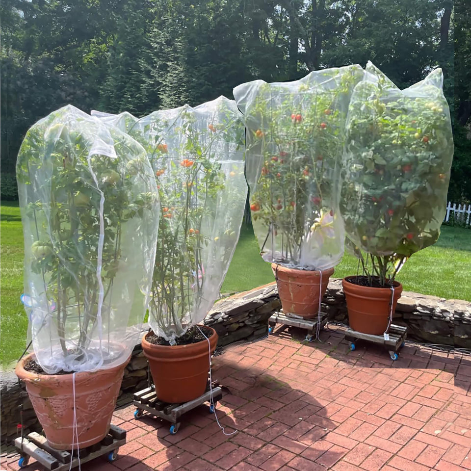 SATXTREM drawstring blueberry netting protects blueberry bushes from birds while allowing airflow