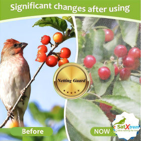 SATXTREM netting installed on a fruit tree promotes airflow while shielding fruit